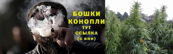 СК Дмитриев