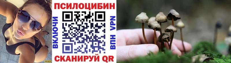 Купить закладки  Кирсанов  Галлюциногенные грибы ЛСД 